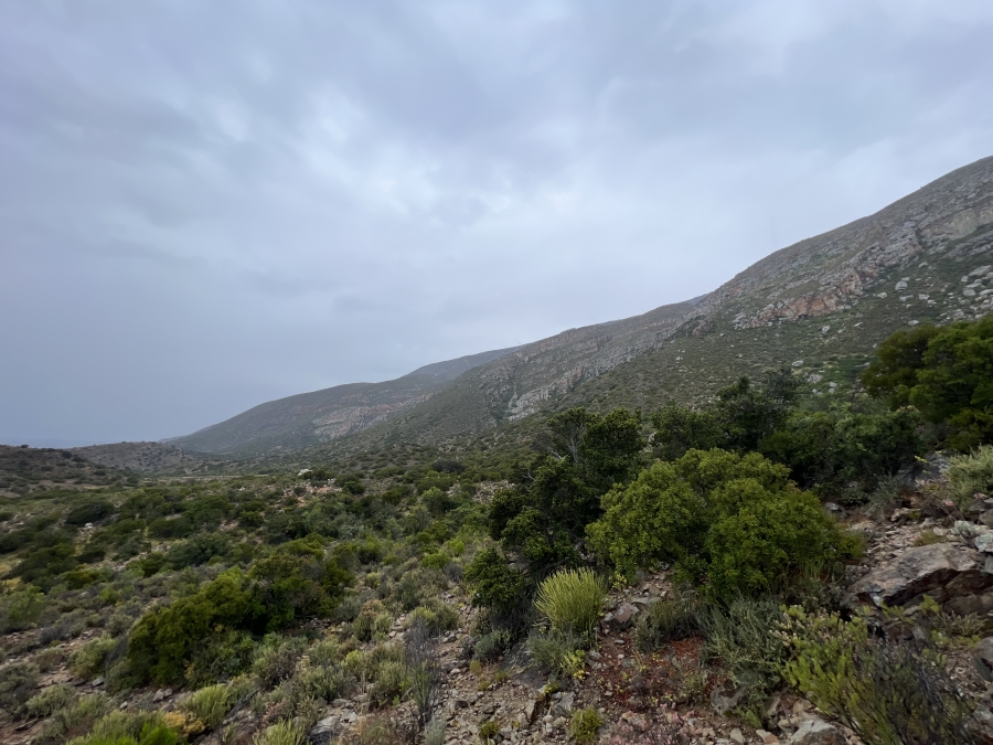 0 Bedroom Property for Sale in Ladismith Western Cape